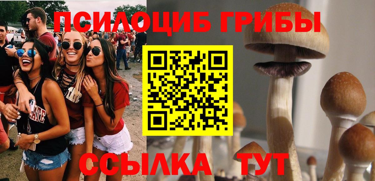 Галлюциногенные грибы Cubensis  Галлюциногенные грибы Magic Shrooms  Белгород  Вход с VPN 