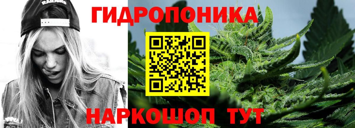 МАРИХУАНА сатива  Вход с VPN  Бошки марихуана Amnesia  Каннабис Amnesia  Белгород 